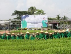 Panen Raya Pengurus Persit Kartika Chandra Kirana Daerah II/Sriwijaya di Taman Aspirasi