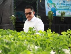 Indahnya Kebun PKK di Kecamatan Kemuning Gemilang