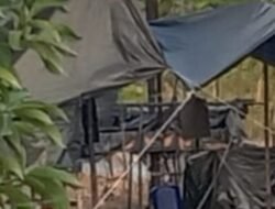 Puluhan Sumur Minyak Ilegal Baru di Eks PT Pakerin, Kapolsek Batanghari Leko Diduga Tutup Mata, Diduga Ada Oknum Terlibat