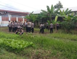 Kelurahan Bukit Sangkal Dukung Program Pemerintah, Manfaatkan Pekarangan Rumah Dan Lahan Kosong