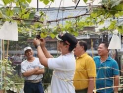Proklim Stepia Jadi Sorotan Dalam Giat Anti Mager Kelurahan