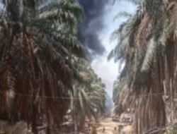 Sindir Banyaknya Kasus Mandek, POSE RI: Polsek Keluang Harus Belajar ke Polsek Babat Toman Soal Ungkap Kasus Kebakaran Minyak Ilegal