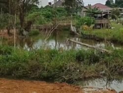 Menjaga Kota Tetap Hijau, Camat Alexander Kawal Proses Timbunan Ramah Lingkungan