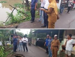 Gerak Cepat! Rifandi Putra Pimpin Penanganan Pohon Tumbang di Kemasrindo