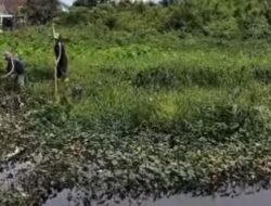 Inovasi Pelayanan Publik, Camat Alexander Kedepankan Dialog dan Aksi di Lapangan