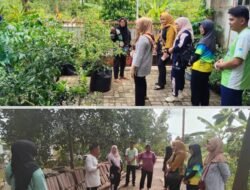 Perkuat Ketahanan Pangan Keluarga, TP PKK Kertapati Matangkan Persiapan Lomba Tingkat Kota