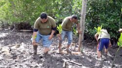 Dari Banyuasin untuk Bumi: Kolaborasi Hijau Tanam Mangrove Lindungi Ekosistem Laut
